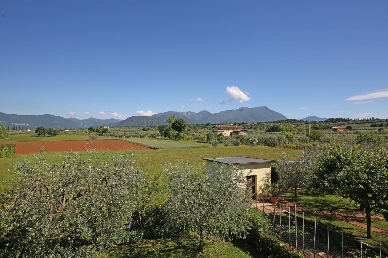 Residence Il Melograno マネルバ・デル・ガルダ 部屋 写真